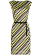 Green Striped Silk Jersey Dress