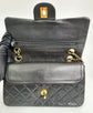 9 Inch Small Double Flap Bag
