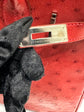 Birkin 30 Exotic Red PHW