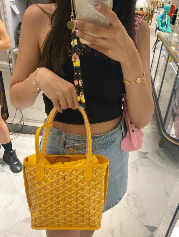 goyard anjou review